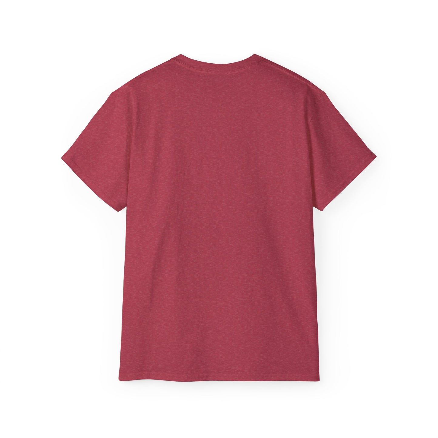 "I never wrote a picture in my life" T-shirt