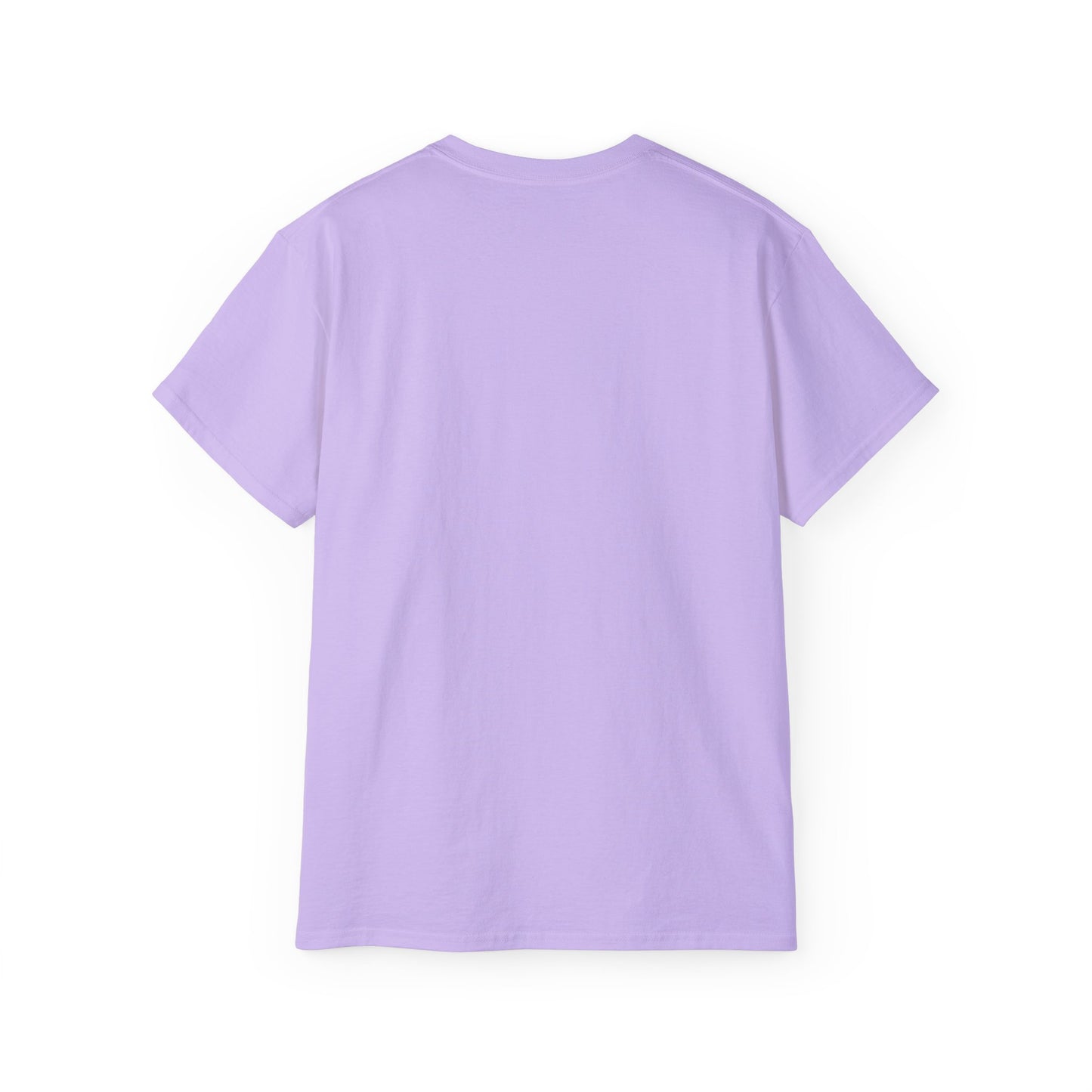 "I never wrote a picture in my life" T-shirt