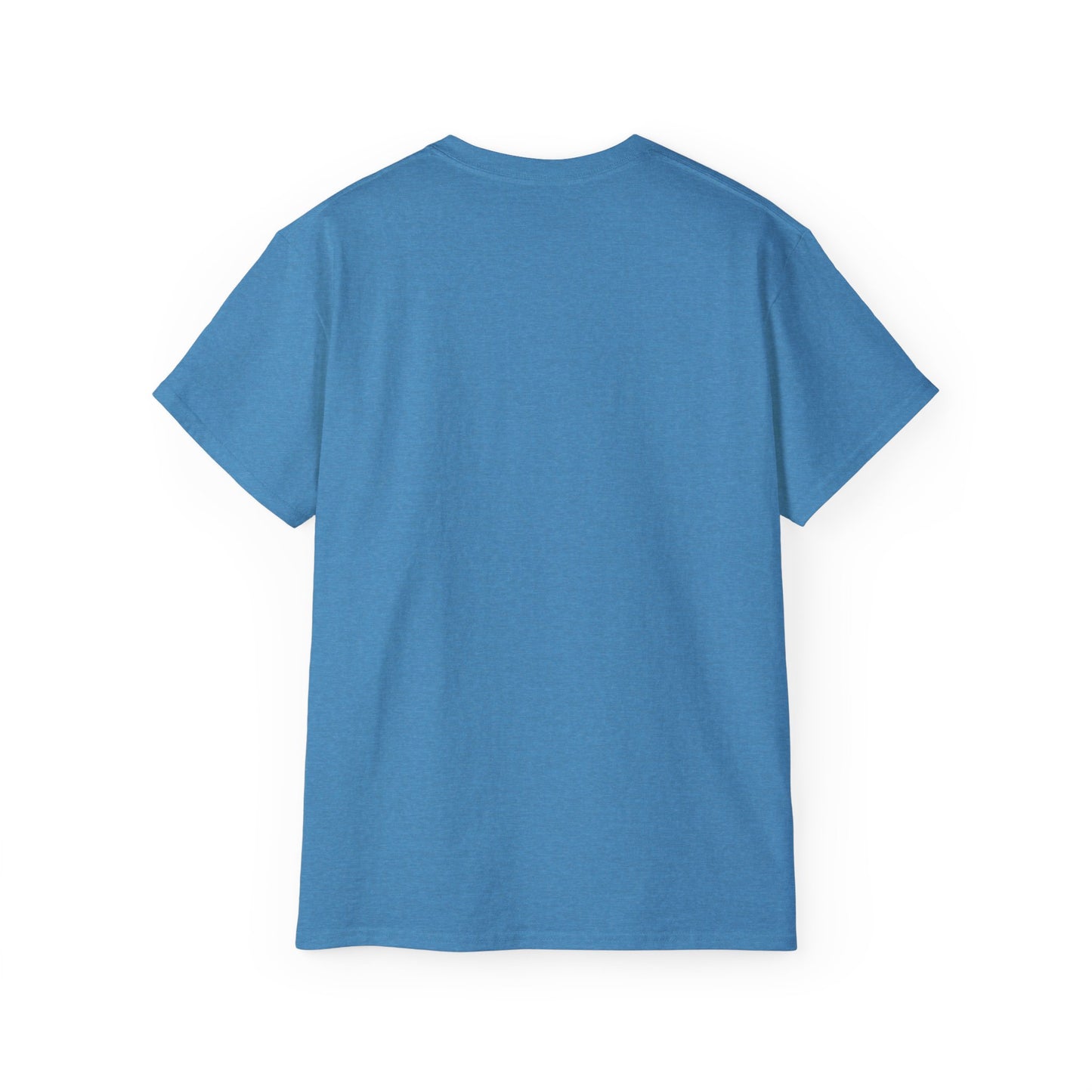 "I never wrote a picture in my life" T-shirt