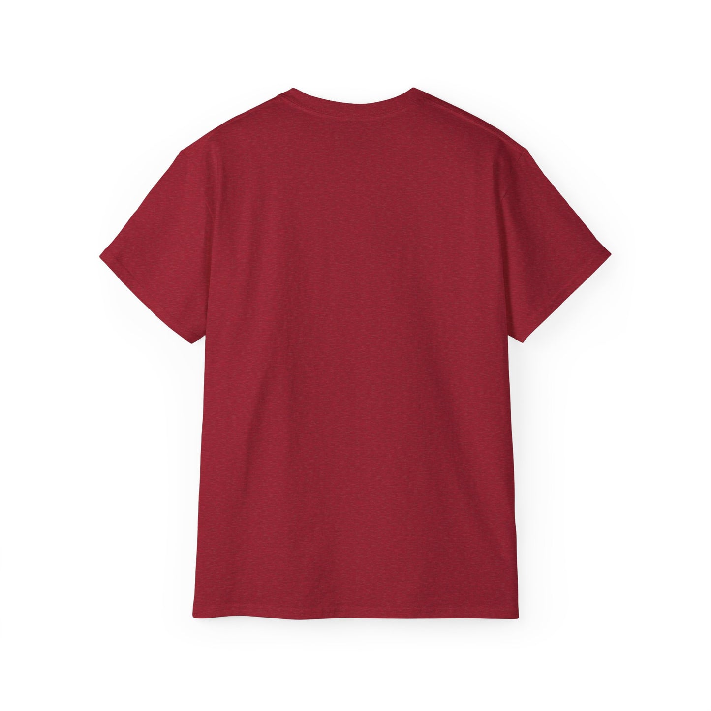 "I never wrote a picture in my life" T-shirt