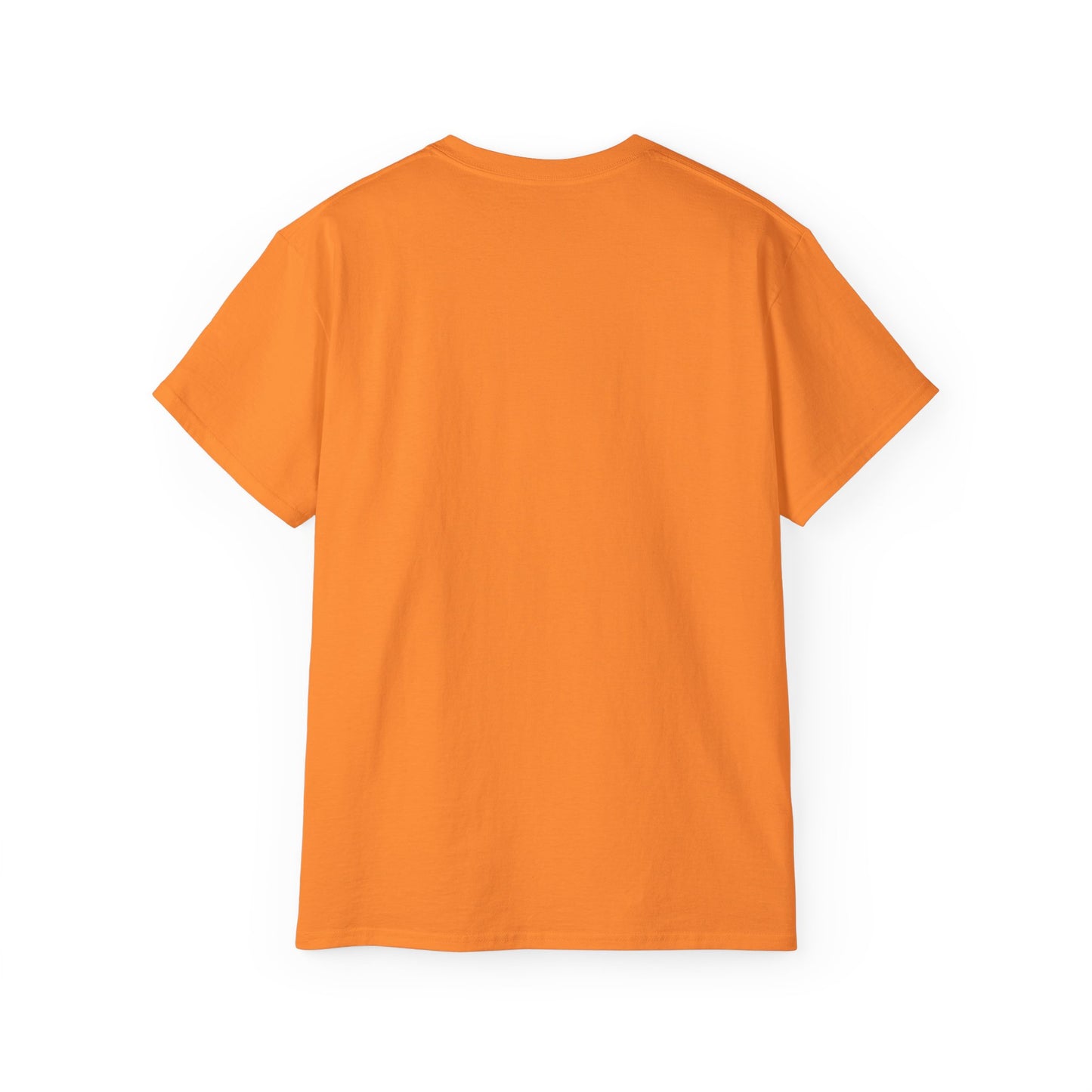 "I never wrote a picture in my life" T-shirt
